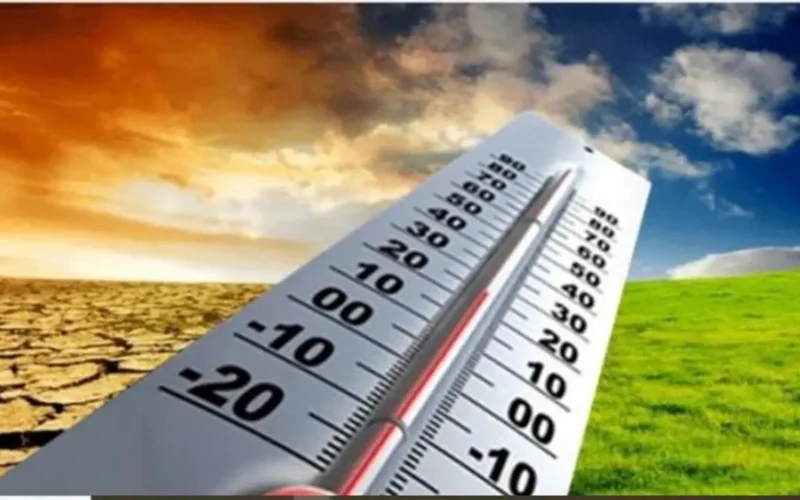 شتاء 2026.. الأرصاد توضح أسباب الارتفاع المفاجئ في درجات الحرارة ومستقبل مناخ مصر